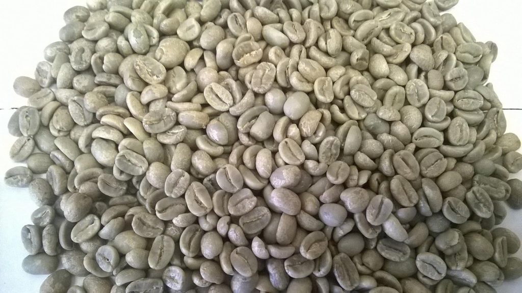 66 lbs BOLIVIA ORGANIC EXTRA (A) UCHUMACHI GREEN COFFEE BEANS