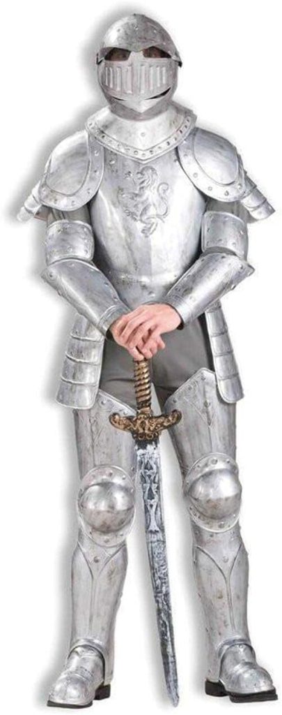 Forum Knight In Shining Armor Complete Costume