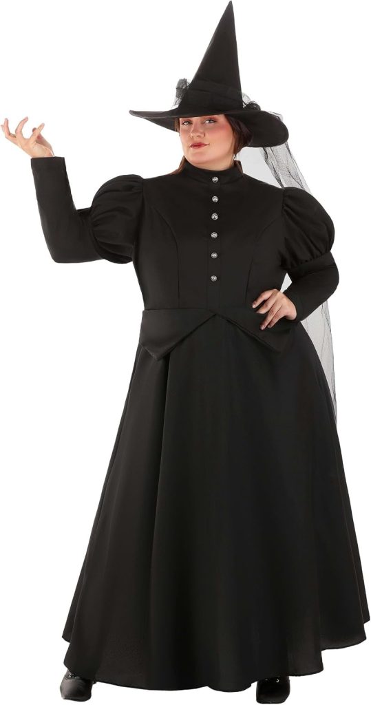 Fun Costumes Deluxe Plus Size Wicked Witch Costume for Women | Halloween and Cosplay Outfit
