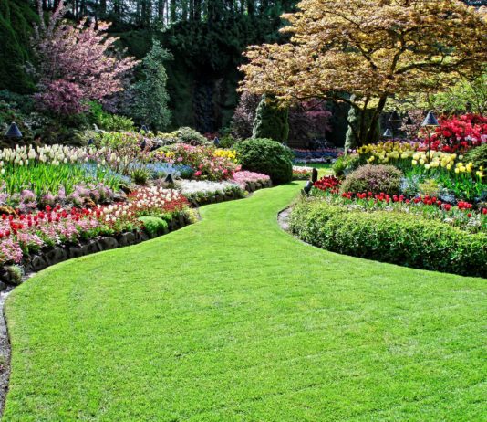 atlanta-jardinero_servicios
