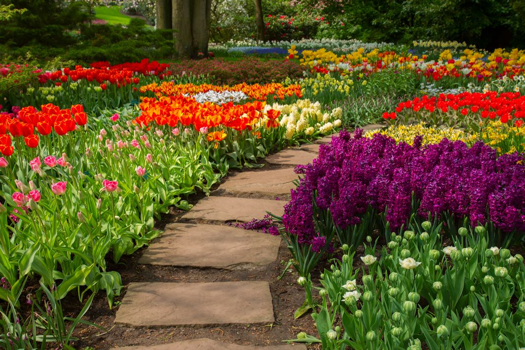 servicios-profesionales-jardineria-alpharetta