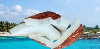 beneficios-del-coco-articulo-de-atlanta-latinos