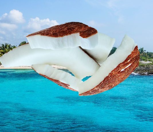 beneficios-del-coco-articulo-de-atlanta-latinos