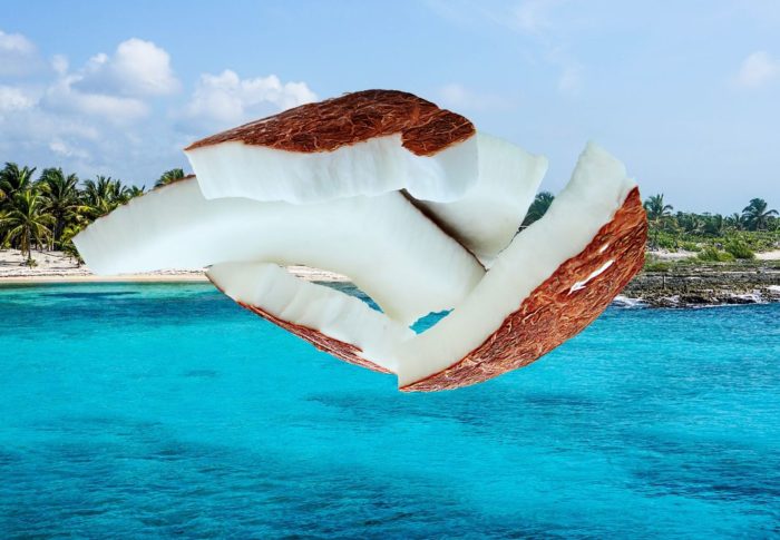 beneficios-del-coco-articulo-de-atlanta-latinos