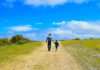 atlanta-dia-de-los-padres-actividades-familia