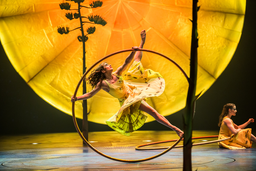 luzia-cirque-du-soleil-atlanta-25713-Roue_Cyr_Trapeze