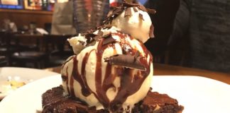 outback-steakhouse-nuevo-alpharetta-ga-una-delicia-atlanta-latinos-magazine