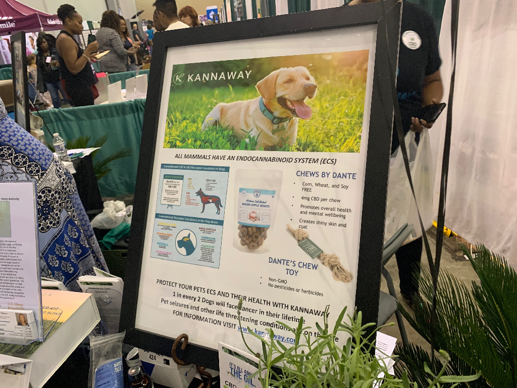 alive-expo-2019-cobb-galleria