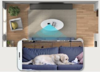 alexa dog day