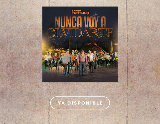 nunca olvidarte nunca olvidarte