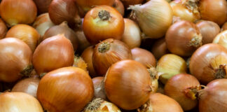 beneficios-cebolla-milagrosa
