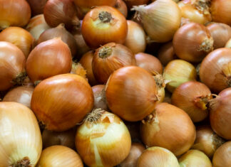 beneficios-cebolla-milagrosa