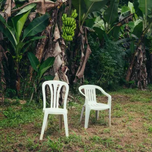 Bad Bunny, "Debí Tirar Más Fotos"