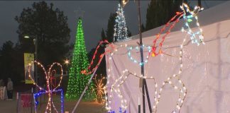 Lights of Life celebrates 36 years of tradition