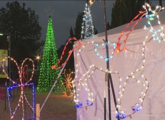Lights of Life celebrates 36 years of tradition