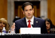 Marco Rubio, el hijo de migrantes cubanos que como secretario de Estado se convierte en el latino con el cargo más importante en la historia de EE.UU.