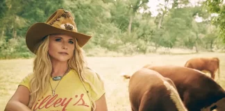 Miranda Lambert's Music Inspires Upcoming TV Series