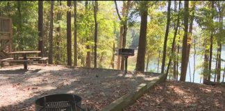 New Year's things to do: How about a Georgia State Parks hike?
