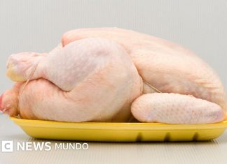 Por qué Europa no quiere el pollo de EE.UU. y qué países de América Latina lo compran