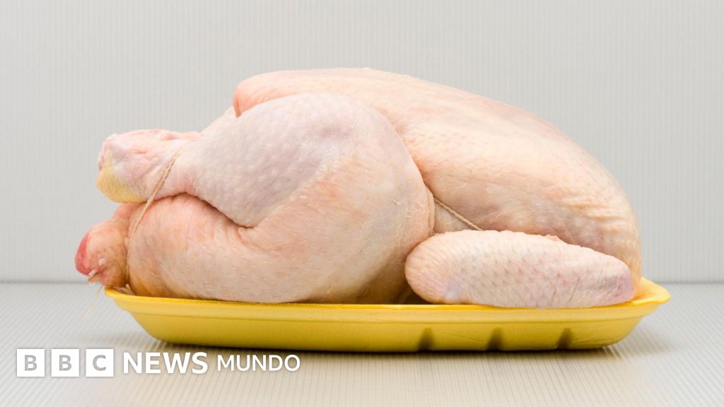 Por qué Europa no quiere el pollo de EE.UU. y qué países de América Latina lo compran