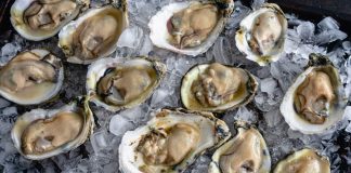 Raw oysters linked to a multistate salmonella outbreak that has sickened 64 people