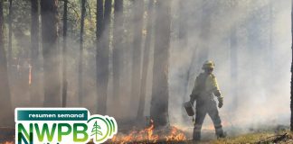 Resumen semanal de noticias de NWPB | ICE arresta a bomberos, confirman mapa de redistrito y estafas a hispanos: septiembre 5 de 2025 | Season 2025