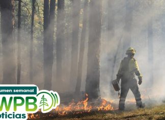 Resumen semanal de noticias de NWPB | ICE arresta a bomberos, confirman mapa de redistrito y estafas a hispanos: septiembre 5 de 2025 | Season 2025