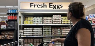 Suben los precios del huevo en EE.UU., esta vez por la gripe aviar y las vacaciones