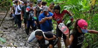 Tapón del Darién: 4 factores que explican por qué los ecuatorianos son ahora los sudamericanos que más cruzan la selva camino a EE.UU.