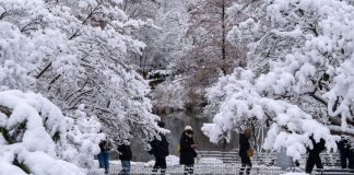 Will it be a white Christmas? Here's a look at the early forecast