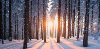 Winter solstice 2025: What it means and why it's the shortest day of the year