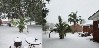 Yes, it can snow in every U.S. state — even Hawaii and Florida