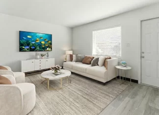 park-vista-atlanta-two-bedroom-apartment-interior