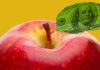 secundarias de EE.UU. adoptan cursos especiales