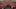 A lesson in sportsmanship that led a Utah football team to St. Louis