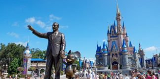 Disney cast member injured preventing 400-pound fake boulder from hitting audience during show