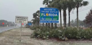 Florida snow 2026: Here are photos, videos capturing snowfall across the panhandle