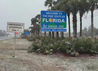 Florida snow 2026: Here are photos, videos capturing snowfall across the panhandle