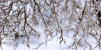 How sleet and freezing rain differ