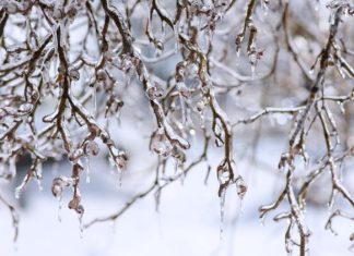 How sleet and freezing rain differ