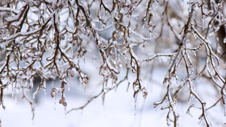 How sleet and freezing rain differ