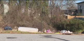 Litters of kittens, tires, and old mattresses are found on empty lots because of illegal dumping