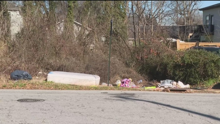Litters of kittens, tires, and old mattresses are found on empty lots because of illegal dumping