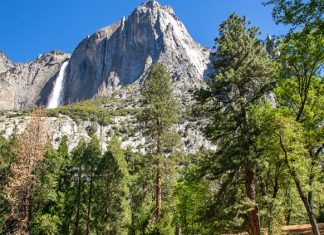 3 major national parks are ditching time entry reservations this summer
