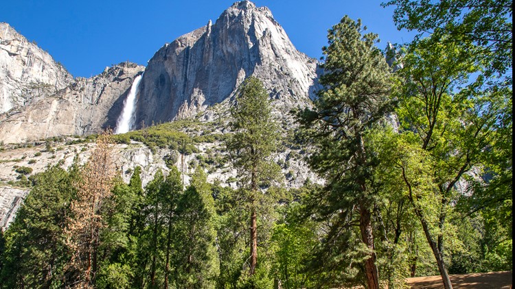 3 major national parks are ditching time entry reservations this summer