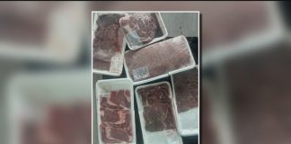 Rotten meat, water damage: Atlanta woman on day 9 with no power