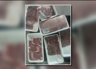 Rotten meat, water damage: Atlanta woman on day 9 with no power