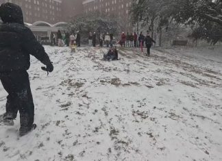 UGA announces class will resume Monday after snow falls in Athens