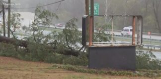 3 tornadoes confirmed after Monday's severe storms in central Georgia, marking 11 tornadoes confirmed in 5 day span, NWS says