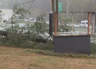 3 tornadoes confirmed after Monday's severe storms in central Georgia, marking 11 tornadoes confirmed in 5 day span, NWS says